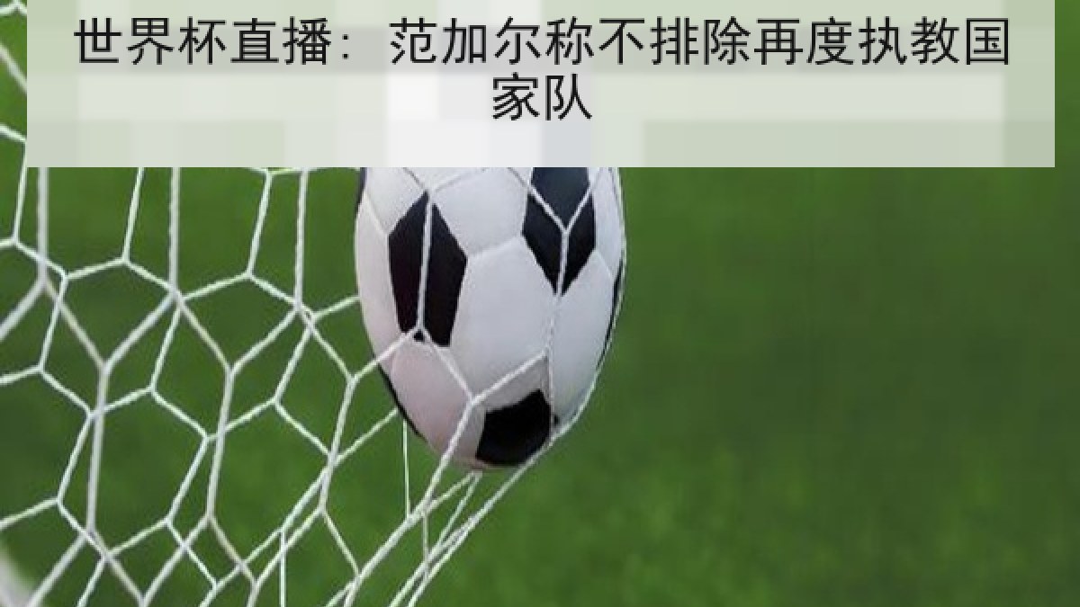 世界杯直播: 范加尔称不排除再度执教国家队 世界杯直播: 范加尔称不排除再度执教国家队